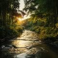 Realistic bamboo in the forest with water flowing fast in a river with a calm atmosphere Royalty Free Stock Photo