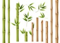 Realistic bamboo. Green and brown bamboo stems with leaves, asian forest 3d vector isolated china and japan decoration Royalty Free Stock Photo