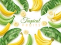 Realistic banana frame. Tropical fruit poster with pieces and green palm leaves, bunches and whole fruits, sweet natural food Royalty Free Stock Photo