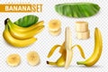 Realistic Banana Transparent Set