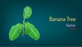 Realistic banana tree and branch elements. vector illustration eps10 Royalty Free Stock Photo