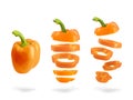 Realistic bell pepper, whole and sliced vegetable set