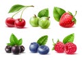 Realistic berries. Different seasonal berries and fruits with leaves, natural dessert, jam or juice. Fresh raspberry
