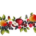 Realistic berries on a white background.