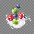 Realistic berry splash. Milk or yogurt splashes, cream with fresh blueberries, raspberries and gooseberries, 3d flying foods, 3d