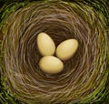 Realistic bird s nest with three eggs, Easter in nature,