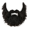 Realistic Black Beard and Mustache Set Isolated on White Background image Royalty Free Stock Photo