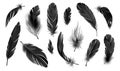 Realistic Black Feathers Set Royalty Free Stock Photo