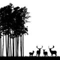 Realistic black illustration of standing deer herd with antlers, grass and high tree in forest. Isolated on white background, with