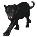 Realistic black panther in vector Royalty Free Stock Photo