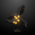 Realistic black twig of holly with leaves and gold berries.