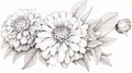 Realistic Black And White Marigold Coloring Page With Elaborate Borders
