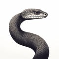 Realistic Black And White Snake Portrait Illustration With Textural Realism