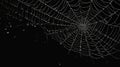 Realistic Black And White Spider Web With Dewdrops In The Style Of Marko Manev