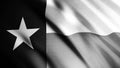 Realistic black and white Texas United States of America state flag waving in the wind, seamless loop. Animation. Highly