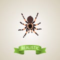 Realistic Black Widow Element. Vector Illustration Of Realistic Tarantula Isolated On Clean Background. Can Be Used As