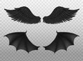 Realistic black wings. Pair of dark feathers raven and bat wings, crow bird parts, isolated demon elements, fly animals paired
