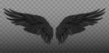 Realistic wings. Vector Royalty Free Stock Photo