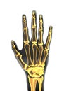 Realistic black and yellow transparente human hand skeleton