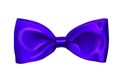 Realistic Blue bow on white background. Blue ribbon bow for a holiday or gift design concept