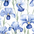 Realistic Blue Iris Floral Seamless Pattern On White Background Royalty Free Stock Photo