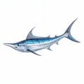 Realistic Blue Marlin Fish With Long Pointed Bill On White Background Royalty Free Stock Photo