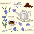 Realistic Botanical color sketch of chicory root, flowers, powder, teapot, tea cup and spoon isolated on yellow Royalty Free Stock Photo