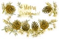 Realistic Botanical ink sketch of fir tree branches with pine cone in gold color on white background. Royalty Free Stock Photo