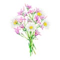Realistic bouquet of meadow wildflowers - field bells and camomile hand-drawn. Watercolor floral natural illustration of