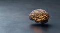 Realistic brain model with glowing neural pathways on a dark background