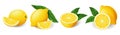 Realistic bright yellow lemon with green leaf whole and sliced set Royalty Free Stock Photo