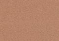 Realistic Brown Cork Texture Royalty Free Stock Photo
