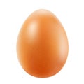 Realistic brown egg isolated on white background