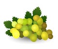Realistic bunch of light grapes with leaves. vector illustration Royalty Free Stock Photo