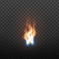 Realistic Burning Brush Fire Flame Element Vector
