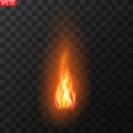 Realistic burning fire flames vector