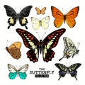 Realistic Butterfly Collection