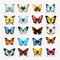Realistic Butterfly Display: Stunning 3d Renderings Of Various Species