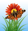 Realistic butterfly on flower