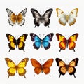 Realistic Butterfly Illustrations On Transparent Background