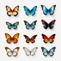 Realistic Butterfly Set In Colorful Colors On White Background Royalty Free Stock Photo