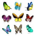 Realistic Butterfly Set Royalty Free Stock Photo