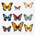 Realistic Butterfly Set: Various Types On Transparent Background Royalty Free Stock Photo