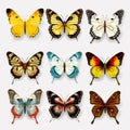 Realistic Butterfly Vector Set: Colorful Images On Transparent Background