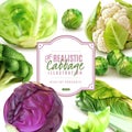 Realistic Cabbage Frame