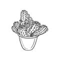 Realistic cactus plant Echinopsis, mammillaria in pot in black isolatd on white background. Hand drawn vector sketch illustration