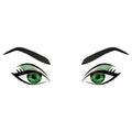 Realistic cartoon vector female green eyes and eyebrows