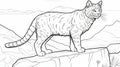 Realistic Cat Coloring Page With Desert Background