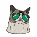 Realistic cat head drawing and sunglasses Royalty Free Stock Photo