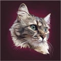Realistic cat head mascot logo design Royalty Free Stock Photo